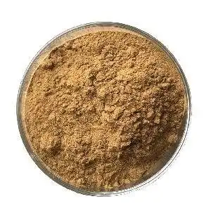 What is the Difference Between Cordyceps Sinensis and Cordyceps Militaris?